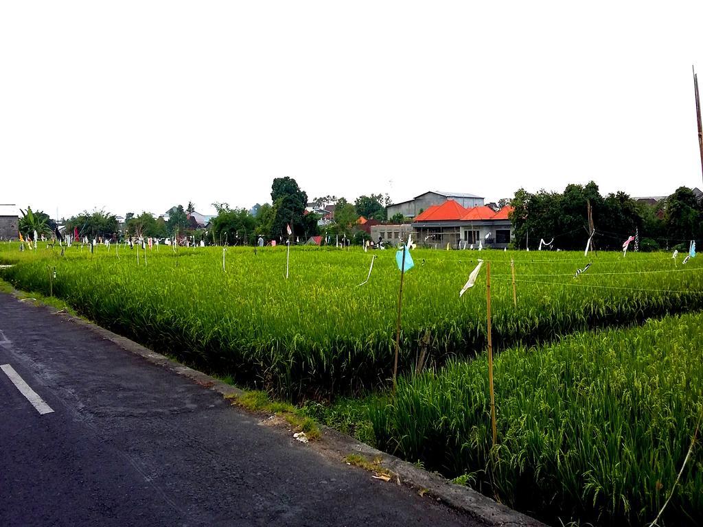 Reddoorz At Kerobokan Seminyak 2 エクステリア 写真
